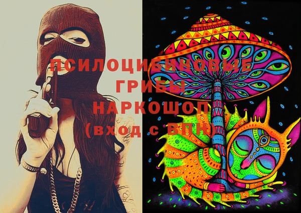 гидропоника Михайловск