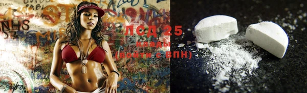 ПСИЛОЦИБИНОВЫЕ ГРИБЫ Михайловка