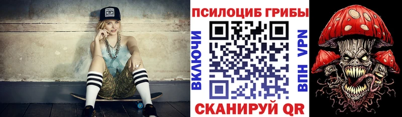 Купить  Эртиль  Галлюциногенные грибы GOLDEN TEACHER 